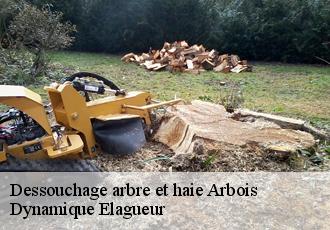 Dessouchage arbre et haie  arbois-39600 Dynamique Elagueur