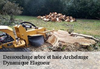 Dessouchage arbre et haie  archelange-39290 Dynamique Elagueur