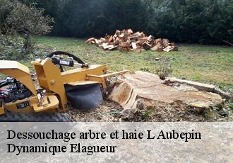Dessouchage arbre et haie  l-aubepin-39160 Dynamique Elagueur