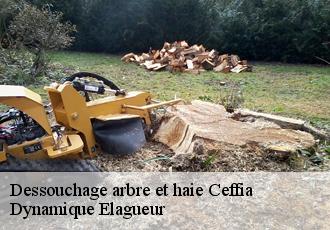 Dessouchage arbre et haie ceffia-39240 Dynamique Elagueur