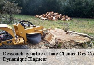 Dessouchage arbre et haie  chainee-des-coupis-39120 Dynamique Elagueur