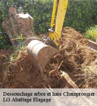 Dessouchage arbre et haie champrougier-39230 LG Abattage Elagage