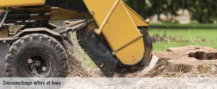 Dessouchage arbre et haie 39150