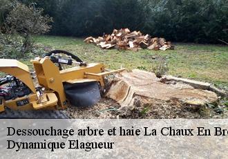 Dessouchage arbre et haie  la-chaux-en-bresse-39230 Dynamique Elagueur