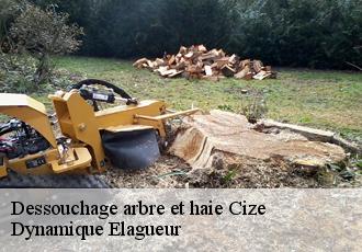Dessouchage arbre et haie cize-39300 Dynamique Elagueur