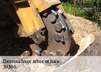 Dessouchage arbre et haie 39300