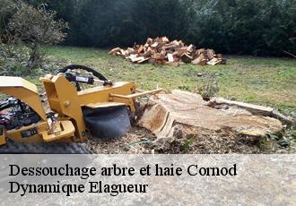 Dessouchage arbre et haie cornod-39240 Dynamique Elagueur