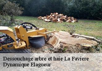 Dessouchage arbre et haie la-faviere-39250 Dynamique Elagueur