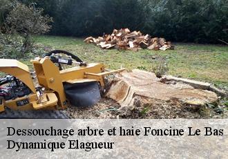 Dessouchage arbre et haie  foncine-le-bas-39520 Dynamique Elagueur