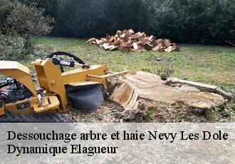 Dessouchage arbre et haie  nevy-les-dole-39380 Dynamique Elagueur