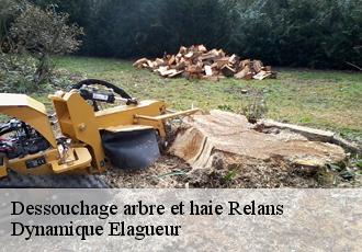 Dessouchage arbre et haie relans-39140 Dynamique Elagueur
