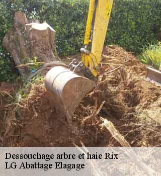 Dessouchage arbre et haie  rix-39250 LG Abattage Elagage 