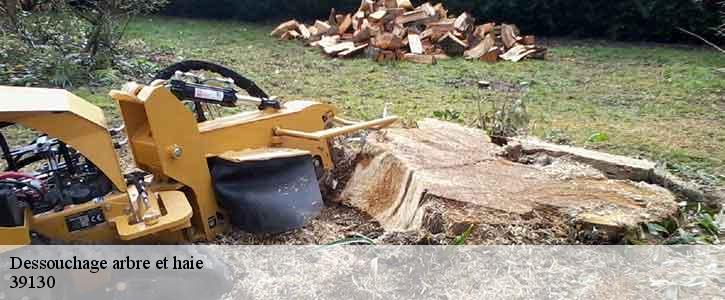 Dessouchage arbre et haie 39130