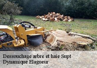 Dessouchage arbre et haie supt-39300 Dynamique Elagueur