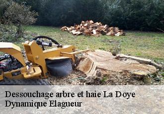 Dessouchage arbre et haie la-doye-39400 Dynamique Elagueur