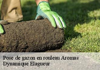 Pose de gazon en rouleau  aromas-39240 Dynamique Elagueur