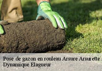 Pose de gazon en rouleau  arsure-arsurette-39250 Dynamique Elagueur