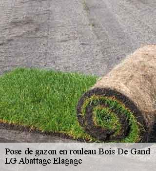 Pose de gazon en rouleau  bois-de-gand-39230 LG Abattage Elagage 