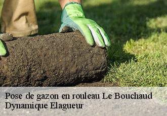 Pose de gazon en rouleau  le-bouchaud-39800 Dynamique Elagueur