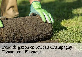 Pose de gazon en rouleau  champagny-39110 Dynamique Elagueur