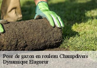 Pose de gazon en rouleau  champdivers-39500 Dynamique Elagueur