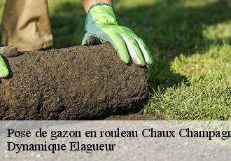 Pose de gazon en rouleau  chaux-champagny-39110 Dynamique Elagueur