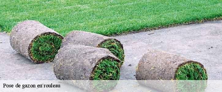 Pose de gazon en rouleau 39570