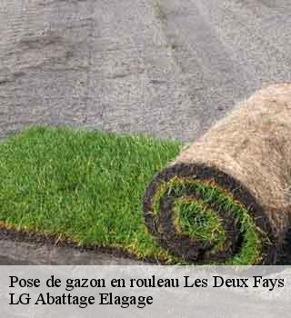 Pose de gazon en rouleau les-deux-fays-39230 LG Abattage Elagage