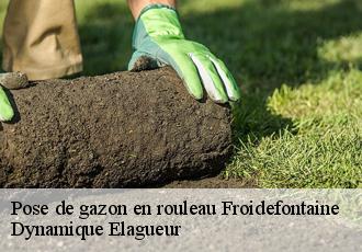 Pose de gazon en rouleau froidefontaine-39250 Dynamique Elagueur