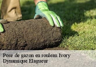 Pose de gazon en rouleau  ivory-39110 Dynamique Elagueur