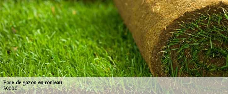 Pose de gazon en rouleau  39000
