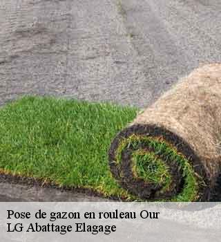 Pose de gazon en rouleau our-39700 LG Abattage Elagage