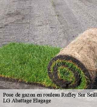 Pose de gazon en rouleau  ruffey-sur-seille-39140 LG Abattage Elagage 