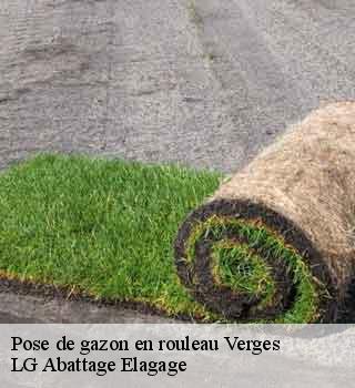 Pose de gazon en rouleau  verges-39570 LG Abattage Elagage 