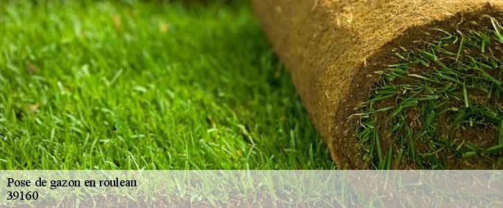 Pose de gazon en rouleau  39160