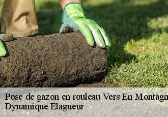 Pose de gazon en rouleau vers-en-montagne-39300 Dynamique Elagueur