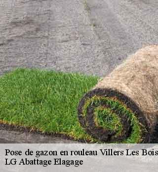 Pose de gazon en rouleau  villers-les-bois-39120 LG Abattage Elagage 