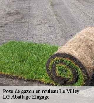 Pose de gazon en rouleau  le-villey-39230 LG Abattage Elagage 