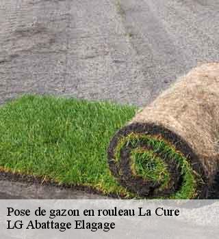 Pose de gazon en rouleau  la-cure-39220 LG Abattage Elagage 