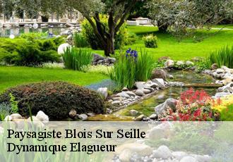 Paysagiste blois-sur-seille-39210 Dynamique Elagueur