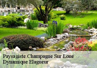 Paysagiste champagne-sur-loue-39600 Dynamique Elagueur