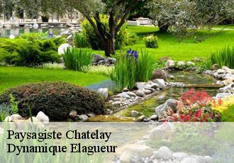 Paysagiste  chatelay-39380 Dynamique Elagueur