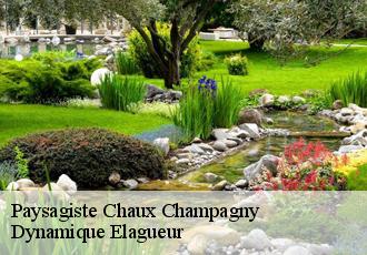 Paysagiste  chaux-champagny-39110 Dynamique Elagueur