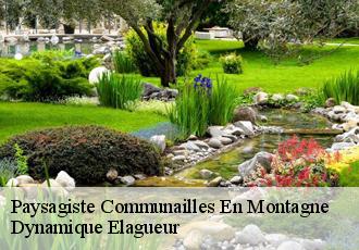 Paysagiste  communailles-en-montagne-39250 Dynamique Elagueur