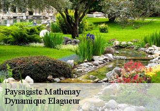 Paysagiste  mathenay-39600 Dynamique Elagueur
