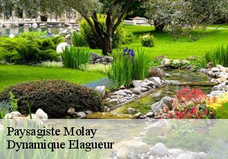 Paysagiste  molay-39500 Dynamique Elagueur