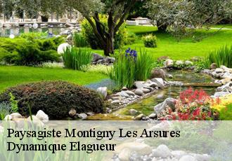 Paysagiste  montigny-les-arsures-39600 Dynamique Elagueur
