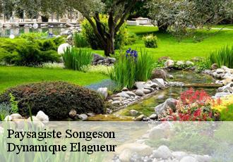 Paysagiste  songeson-39130 Dynamique Elagueur