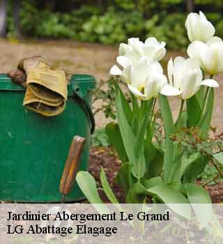 Jardinier  abergement-le-grand-39600 LG Abattage Elagage 