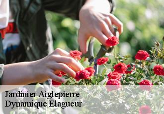 Jardinier  aiglepierre-39110 Dynamique Elagueur